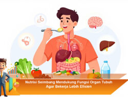 Nutrisi Seimbang Mendukung Fungsi Organ Tubuh Agar Bekerja Lebih Efisien