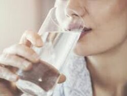 Tips Kesehatan Harian Agar Ginjal Tetap Sehat Dengan Konsumsi Air Yang Cukup